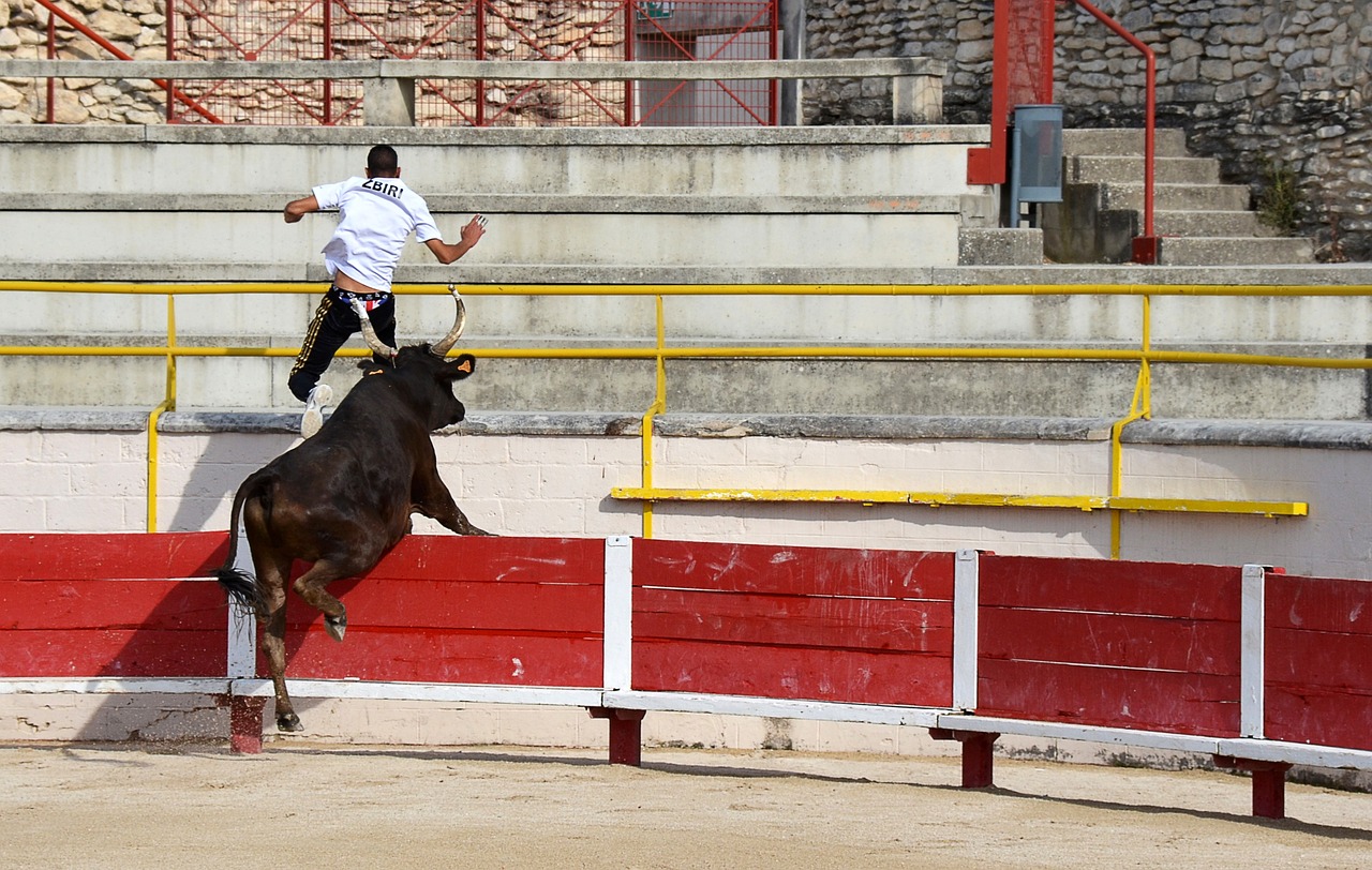 与老师沟通
