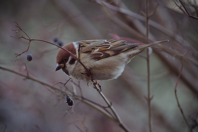 唯有从失败 唯有从失败